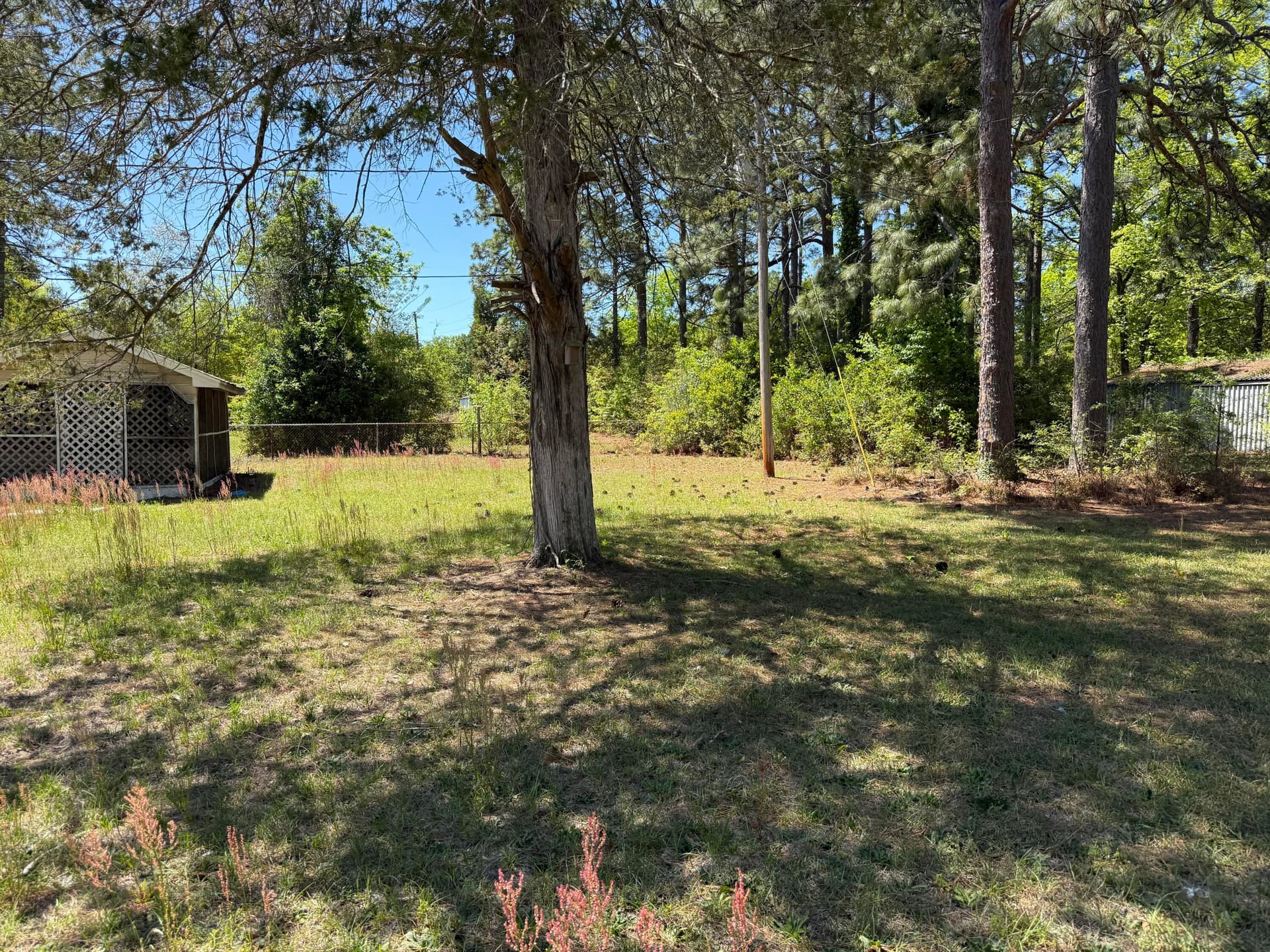 Single Family Residence at 1036 South Street, Aiken, SC 29803, photo 16 of 19