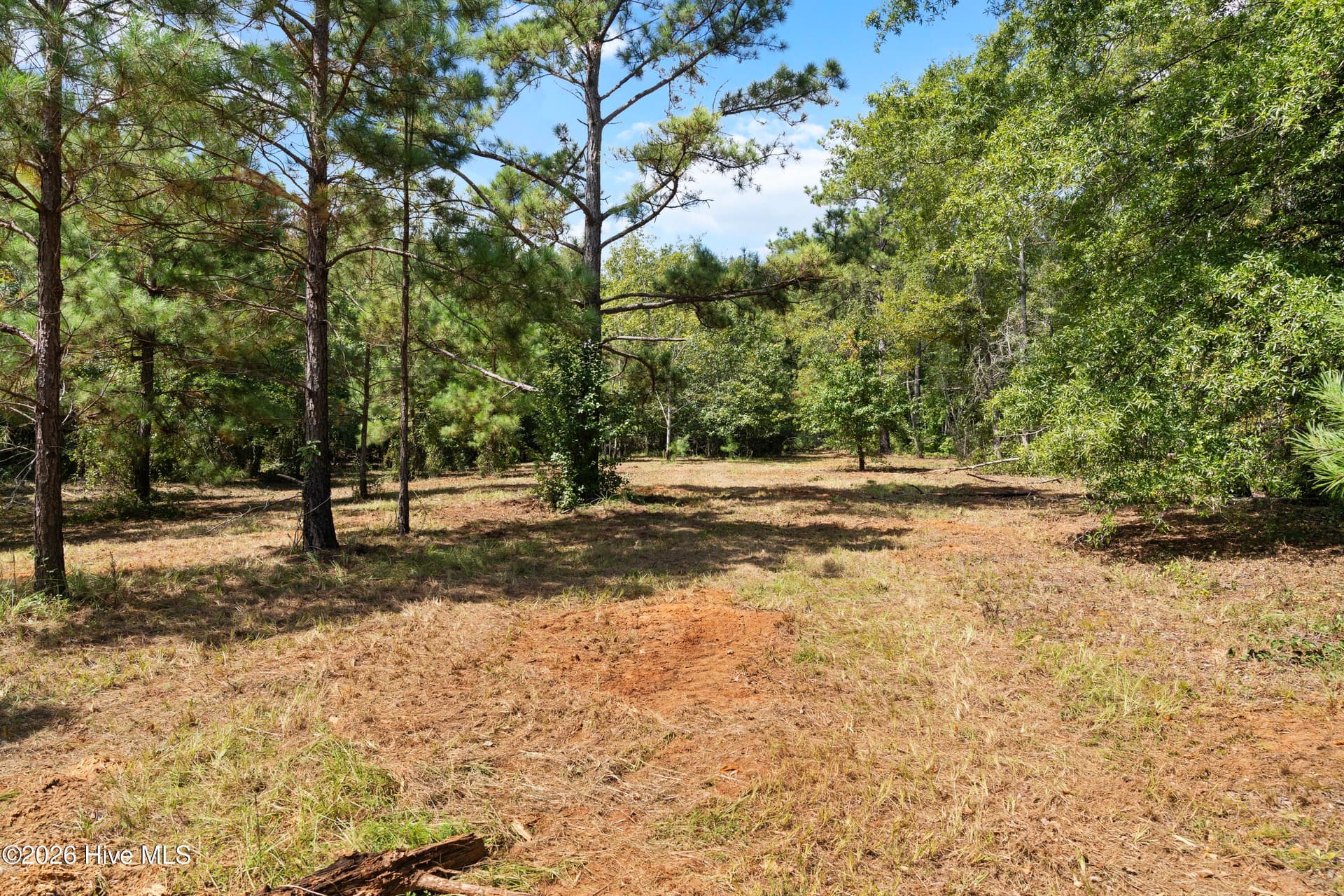 205 Campbell Circle, Hephzibah, GA 30815