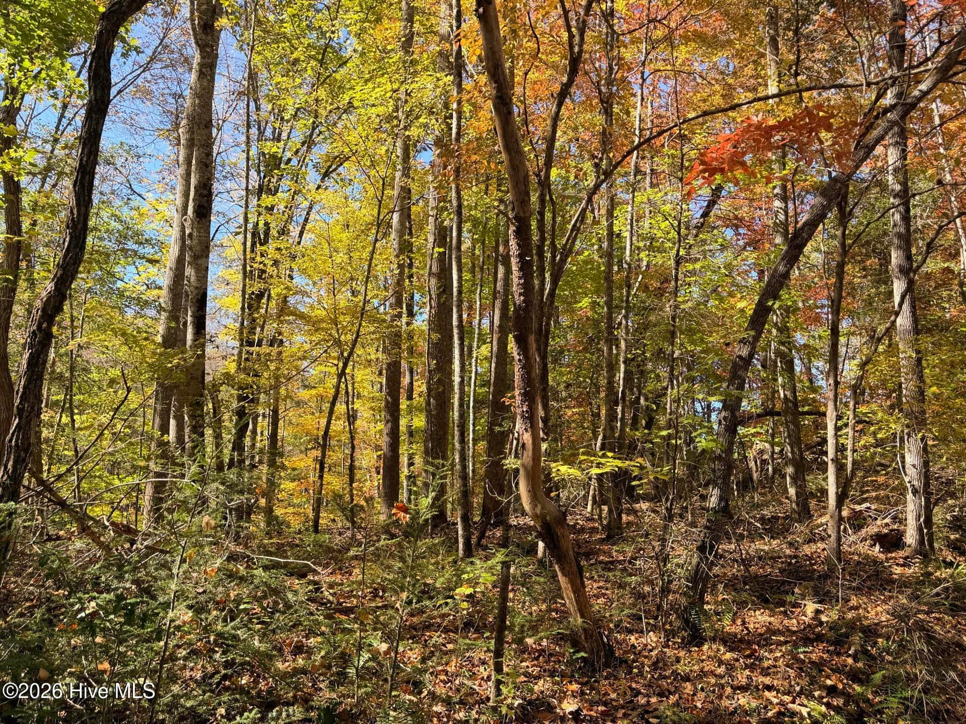 Lot# 6 Rhododendron Drive Drive, Topton, NC 28781