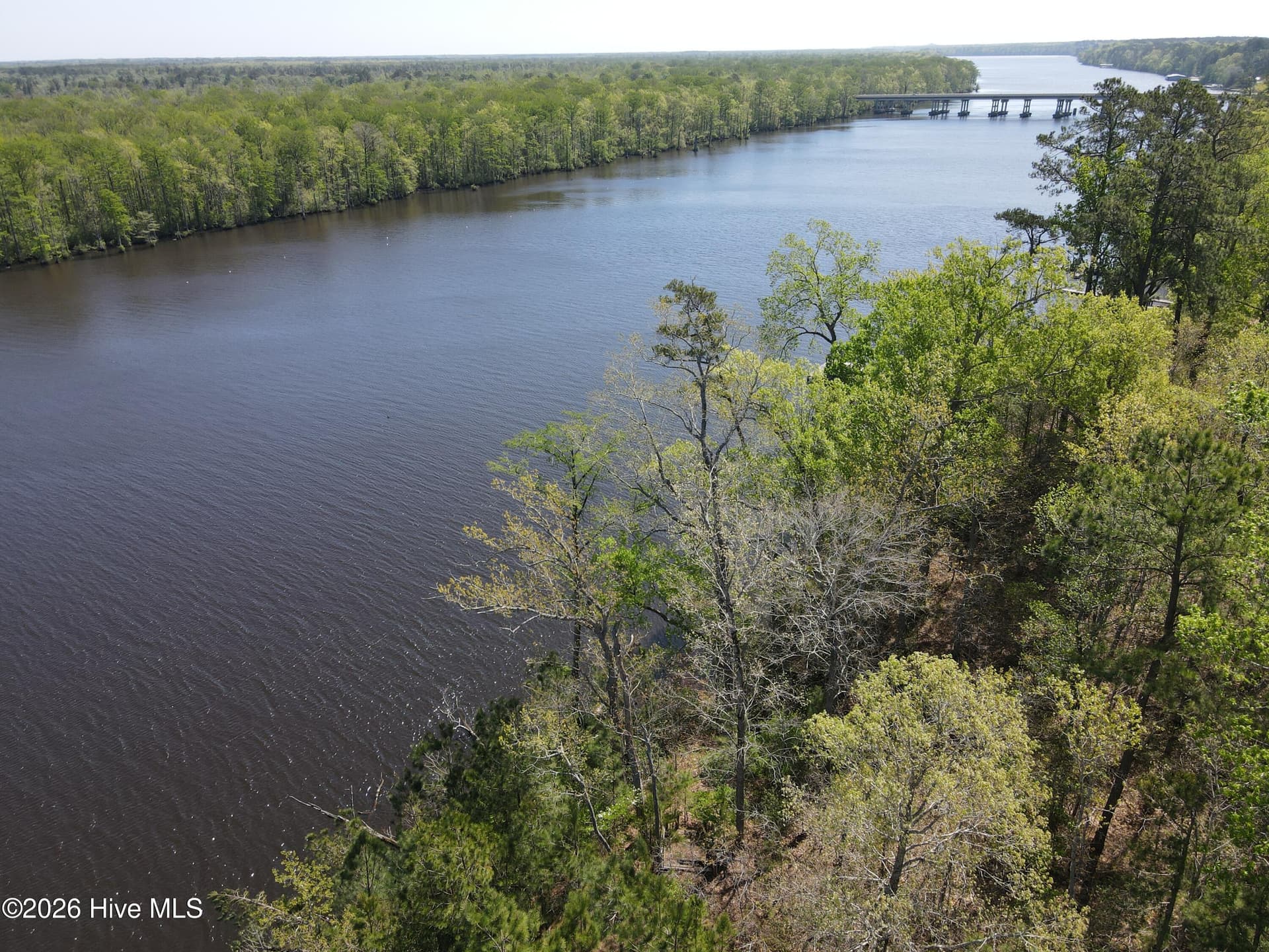 Wooded at Lot 12 River Bluff Drive, Winton, NC 27986, photo 10 of 10