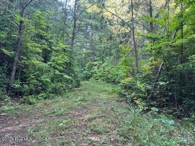 Residential Lot at 5 Tyler Lane, Marble, NC 28905, photo 13 of 28