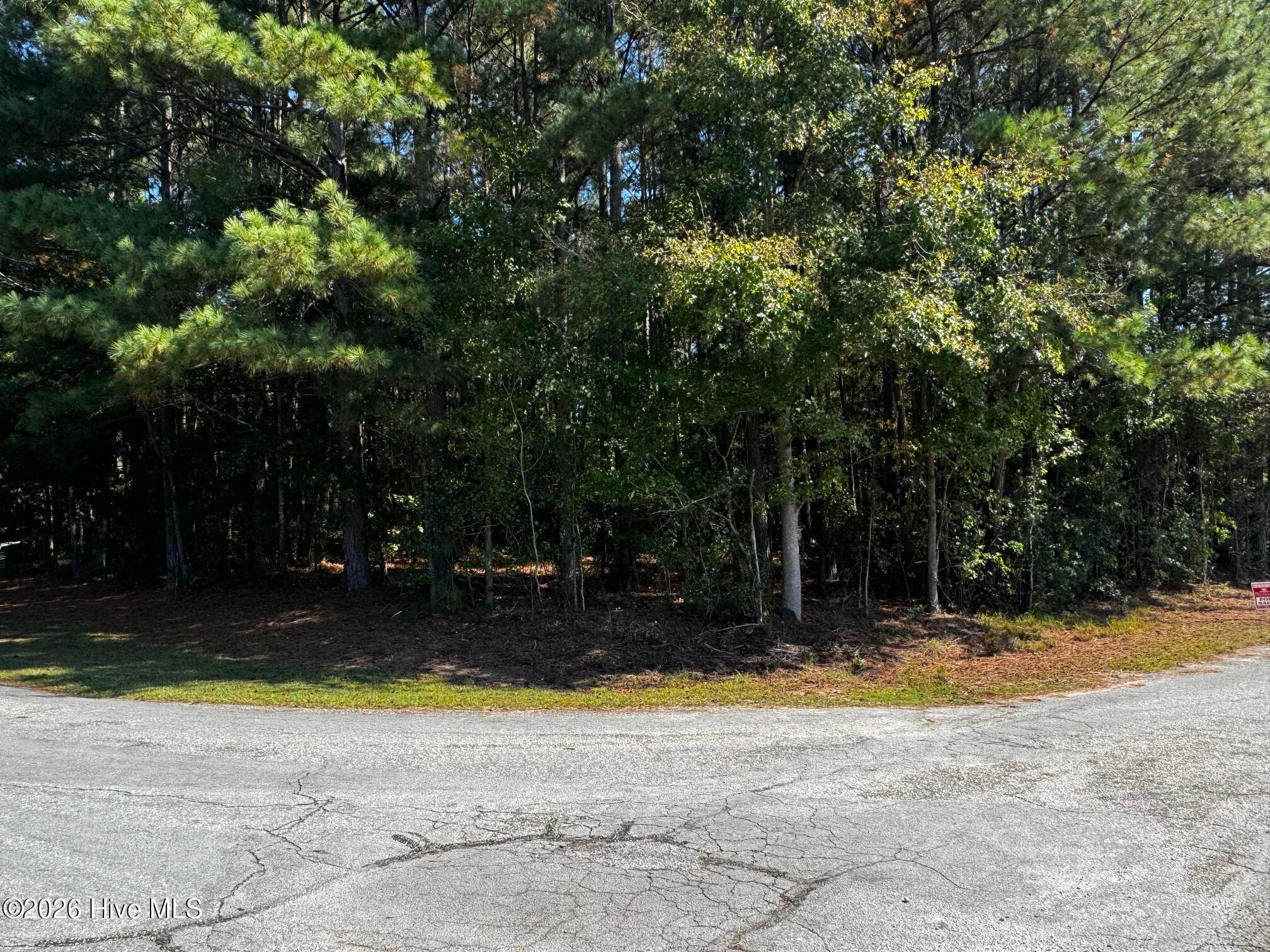 Residential Lot at 20 20 Deer Track Drive, Clinton, NC 28328, photo 2 of 4