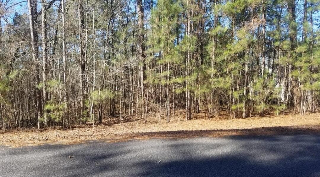 Residential Lot at L26 Bereau Drive, McCormick, SC 29835, photo 4 of 11