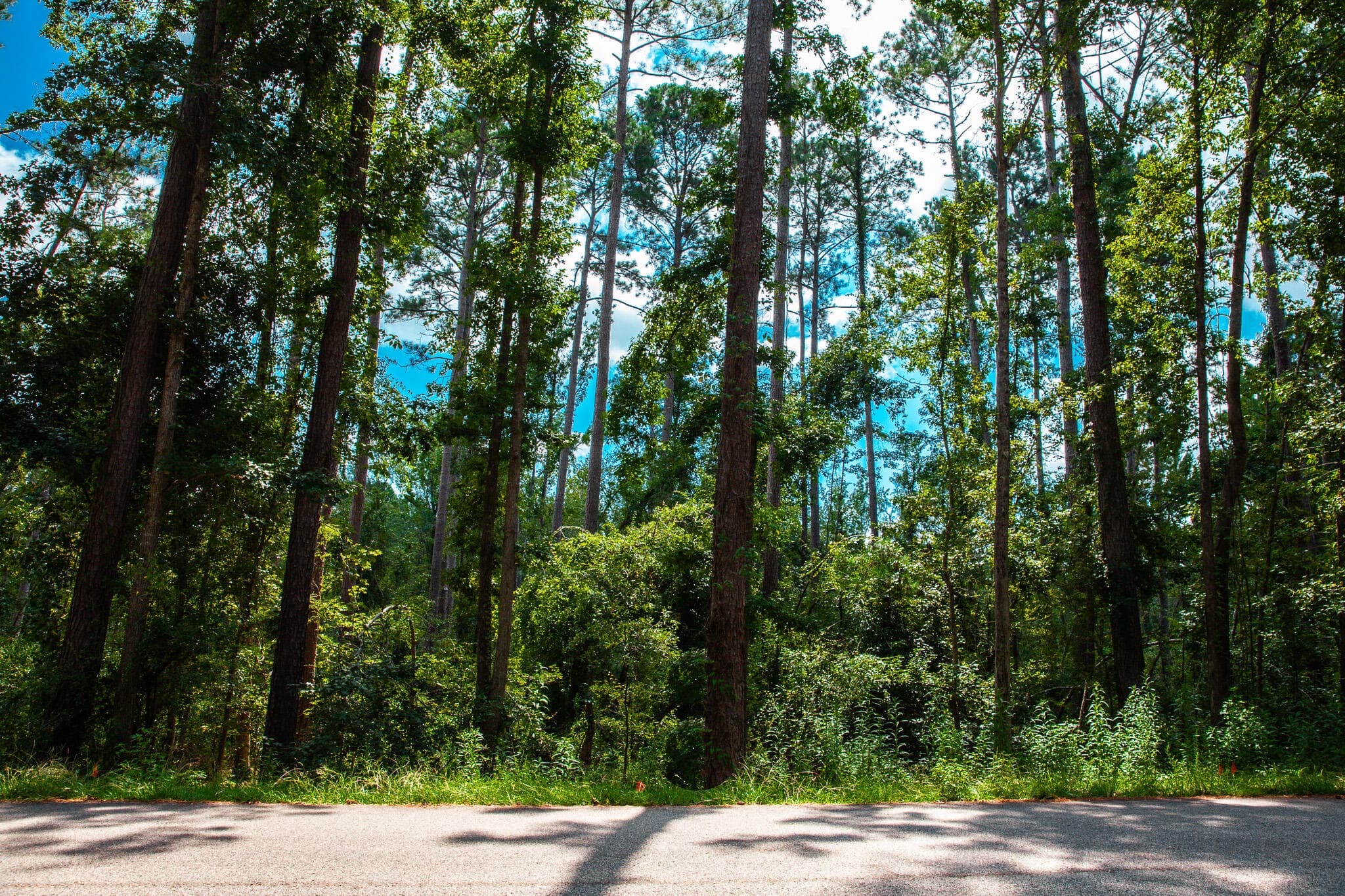 Lot 4 Furey Drive, Clarks Hill, SC 29821