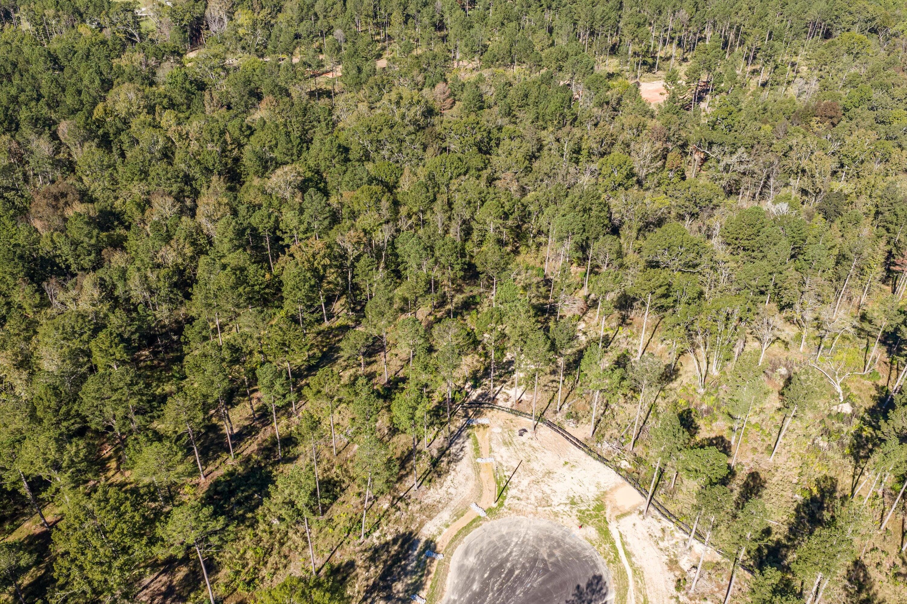 Residential Lot at 174 Beagle Chase Drive, Appling, GA 30802, photo 6 of 6