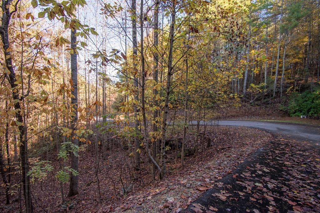 Lt 66 66 Choctaw Ridge Trail, Murphy, NC 28906