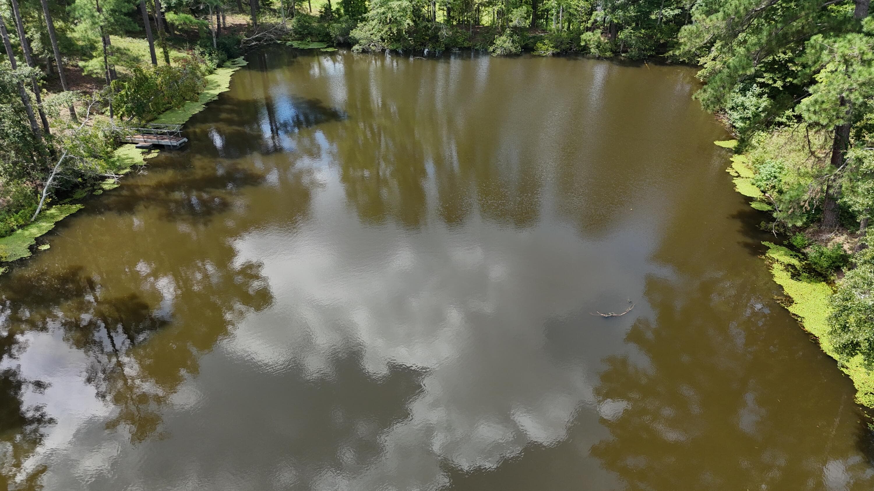 Residential Lot at 0 Hummingbird Drive, Trenton, SC 29847, photo 5 of 14