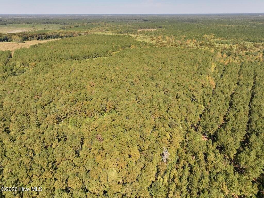 Mixed Use at 0 Spring Hill Road, Scotland Neck, NC 27874, photo 77 of 93