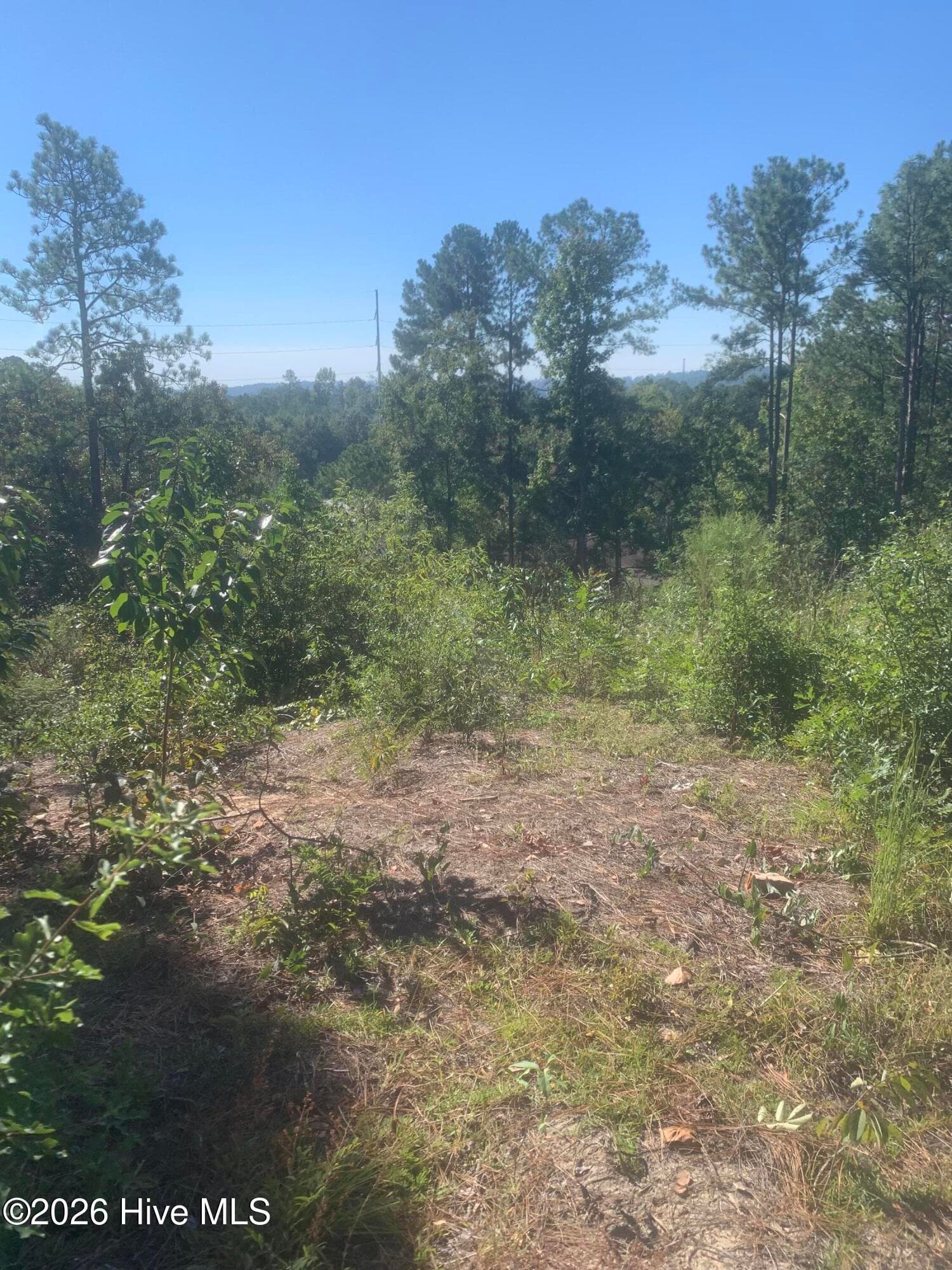Residential Lot at 2333 Rutherford Avenue, Augusta, GA 30906, photo 3 of 16
