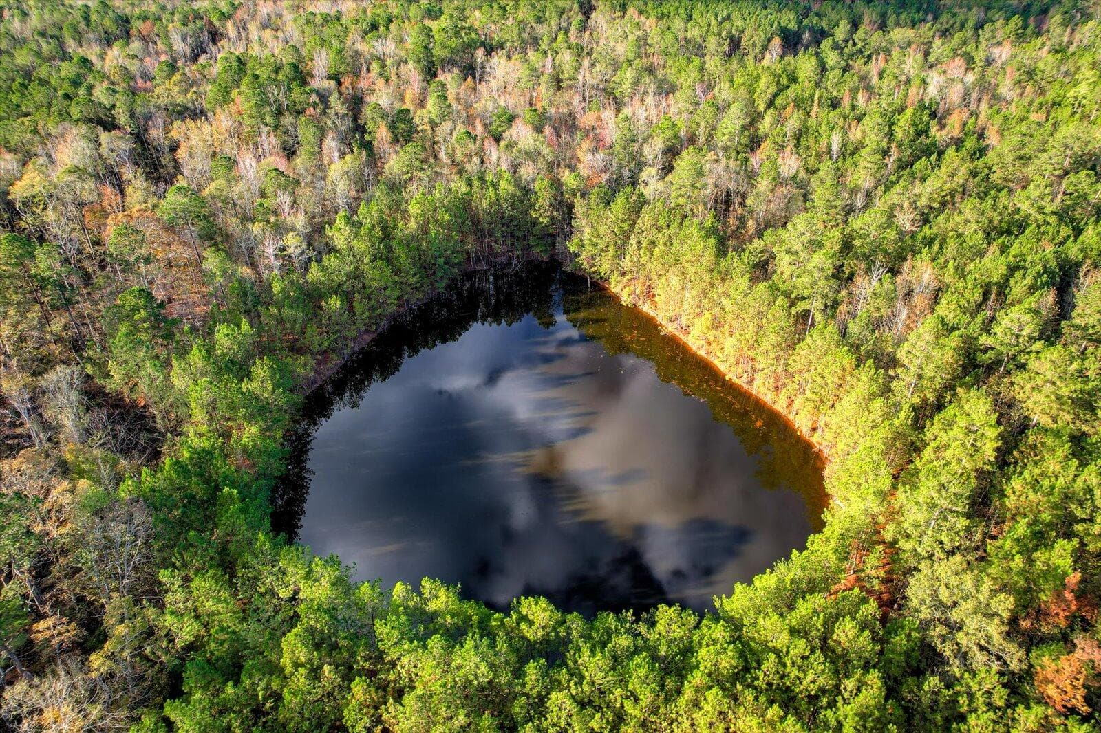 Undeveloped at Tbd2 Sc-23, Edgefield, SC 29824, photo 3 of 41