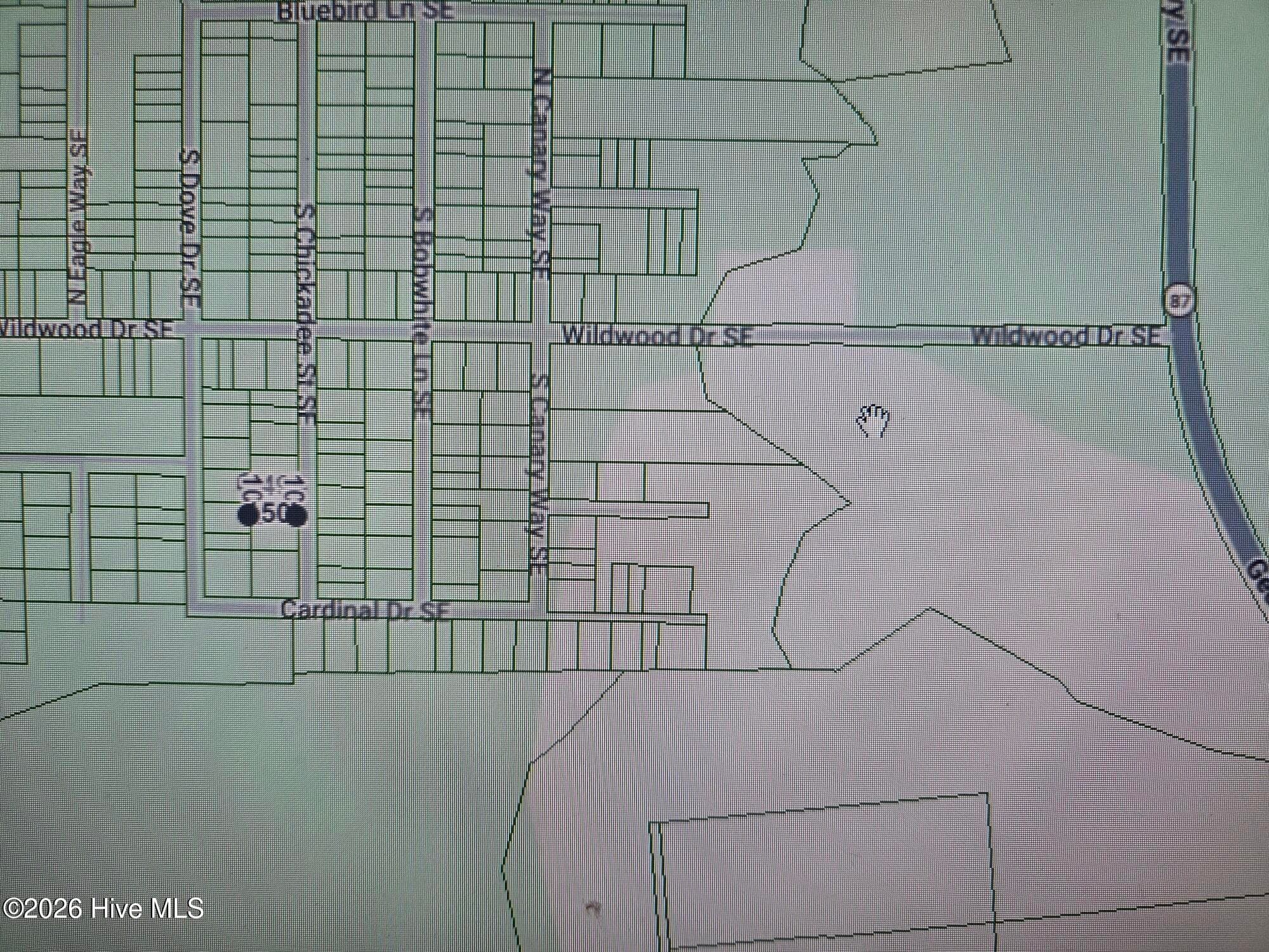 Residential Lot at 0 S Chickadee Street SE, Boiling Spring Lakes, NC 28461, photo 3 of 4