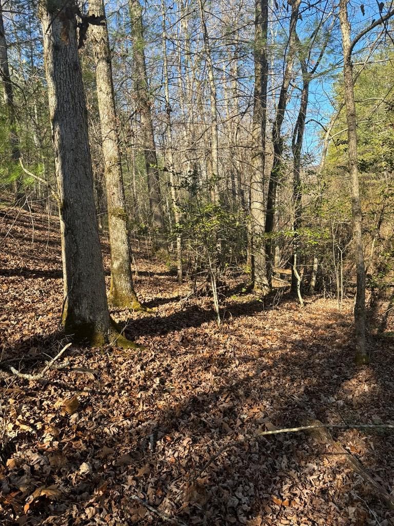 Land at 1.03 Deep Forest Road, Murphy, NC 28906