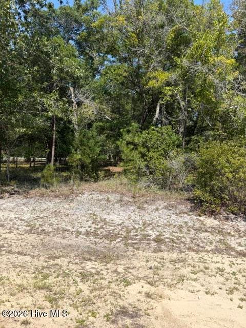 Residential Lot at 3374 469 Sandridge Lane SW, Supply, NC 28462, photo 7 of 16