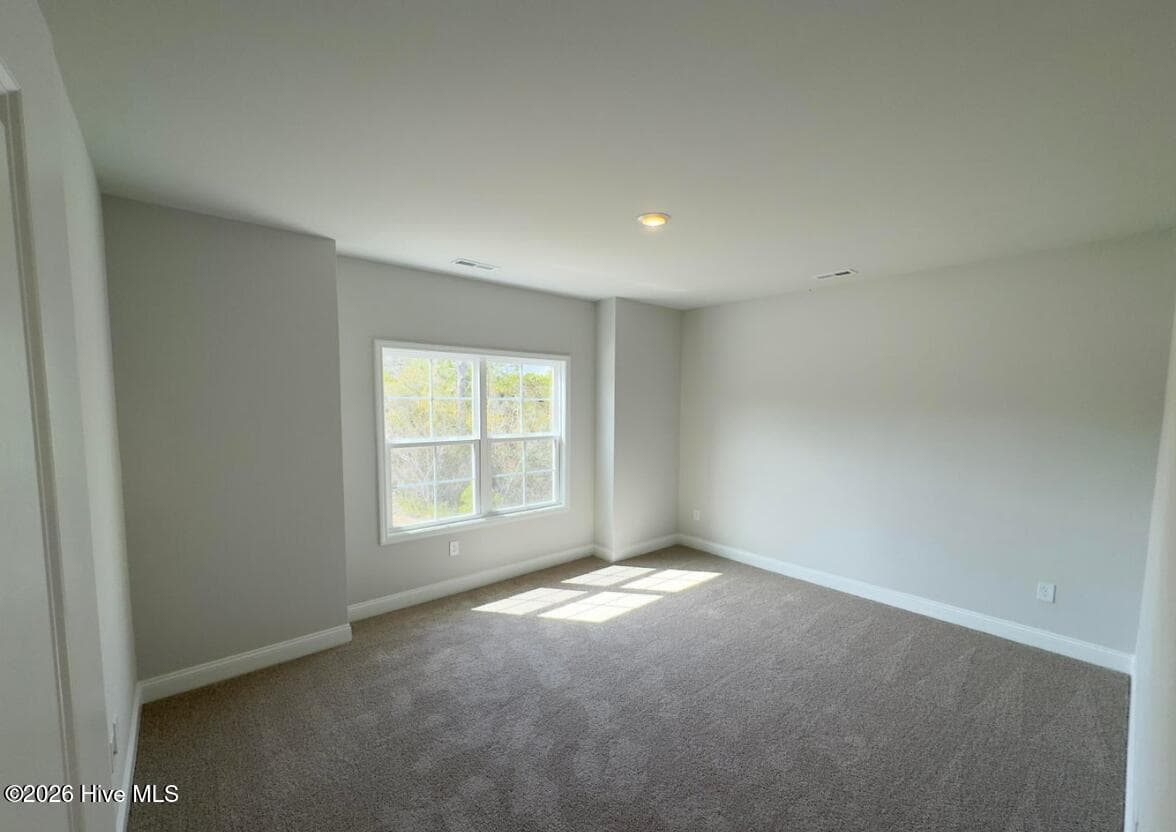 Single Family Residence at 143 Firethorn Circle, Wallace, NC 28466, photo 2 of 3
