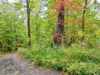 Lot 23 23 Skyview, Hayesville, NC 28904