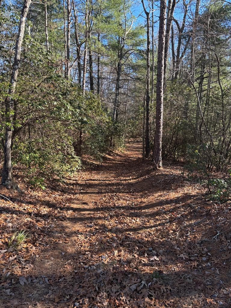 Lot 61 61 Thundering Hill, Murphy, NC 28906