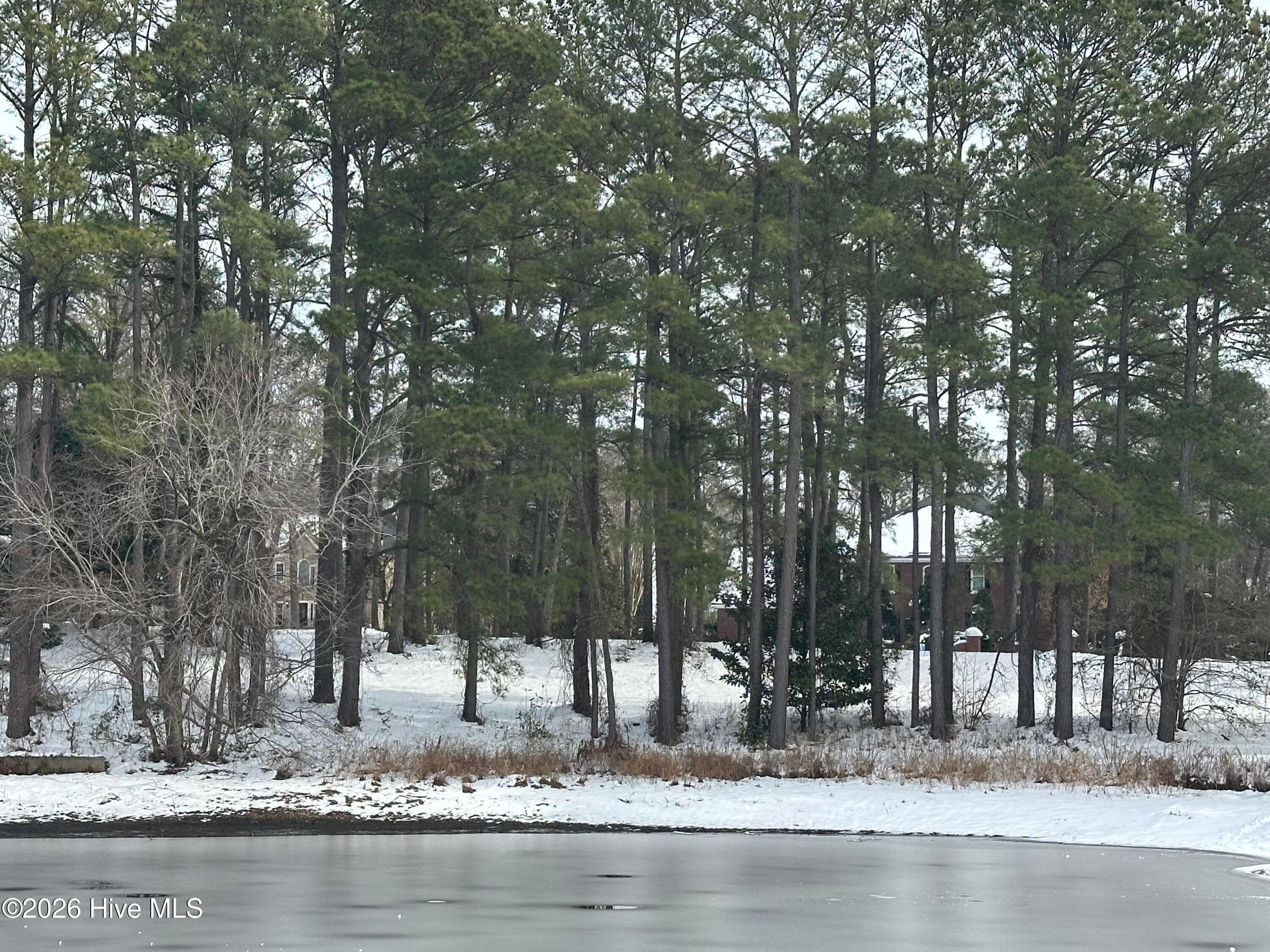 Undeveloped at 00 Mill Road, Goldsboro, NC 27534, photo 2 of 4