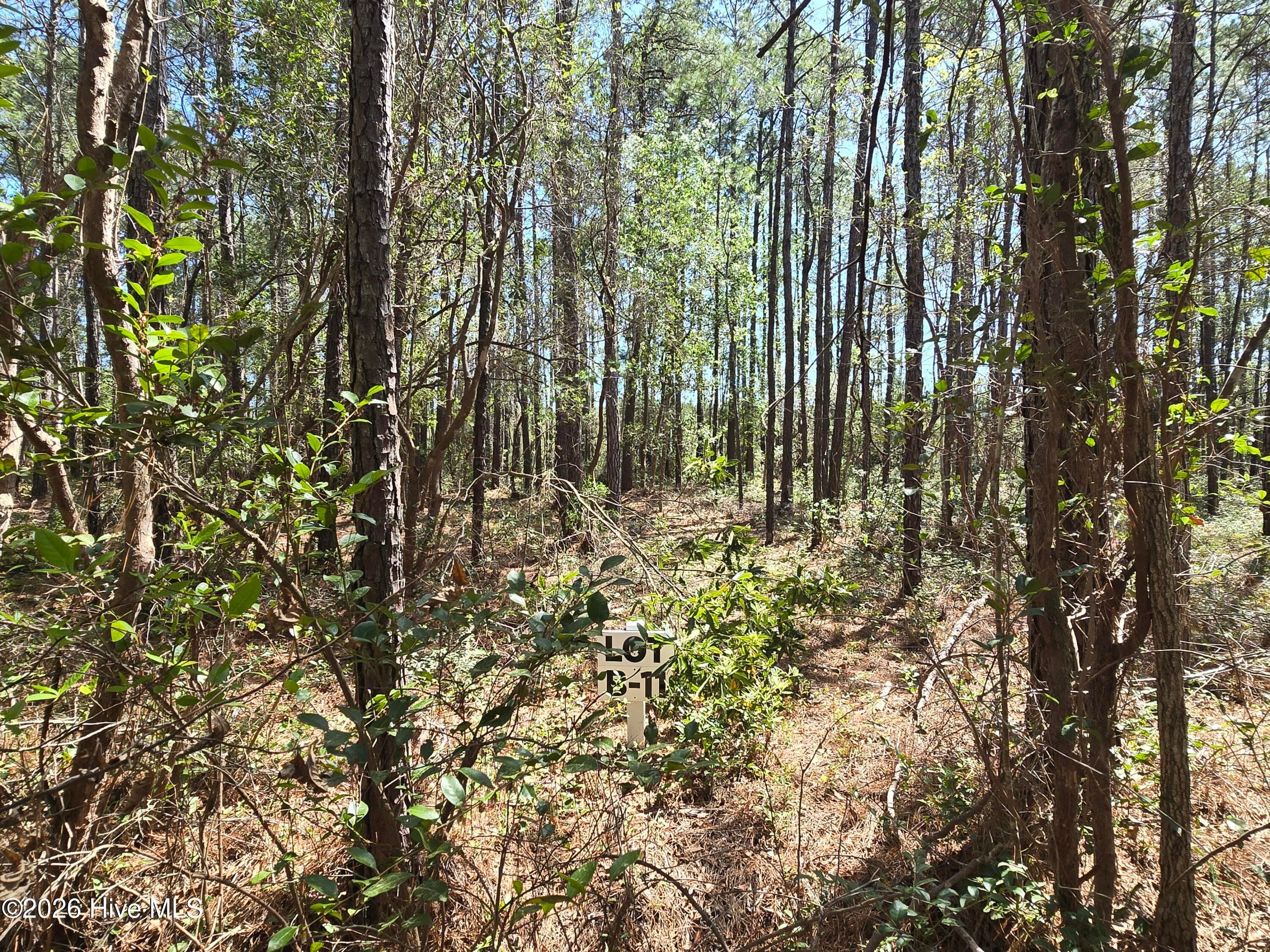 Residential Lot at Lot B-11 B-11 Renee Drive, Hampstead, NC 28443, photo 2 of 6