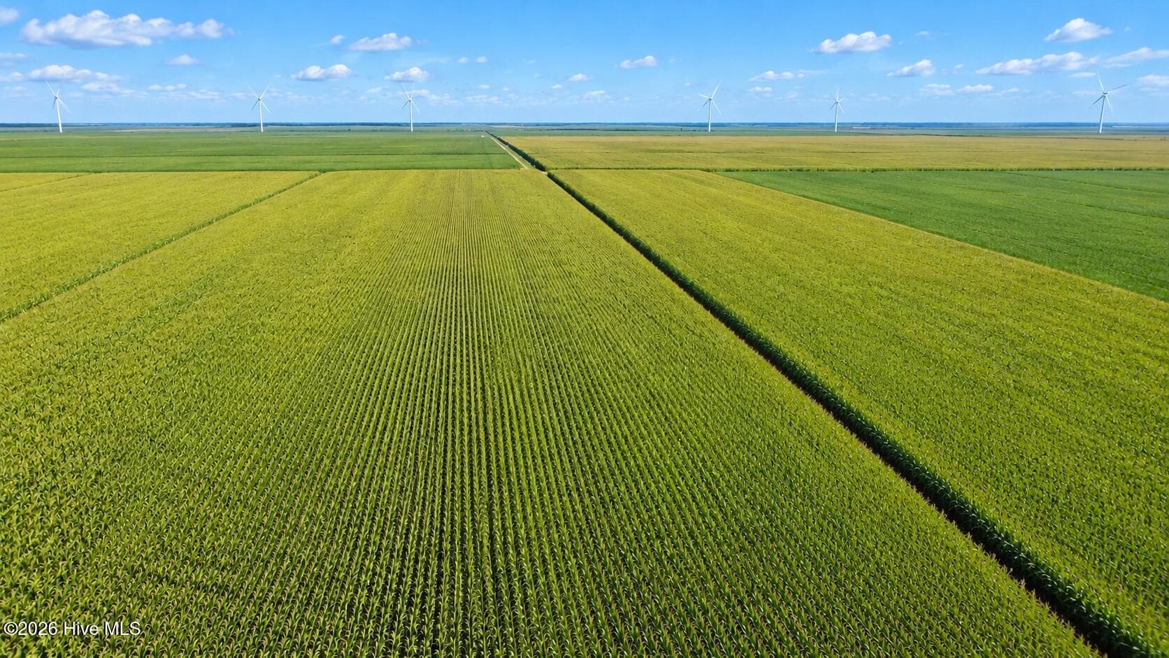 Farm at 0 Cross Road, Elizabeth City, NC 27909, photo 14 of 17