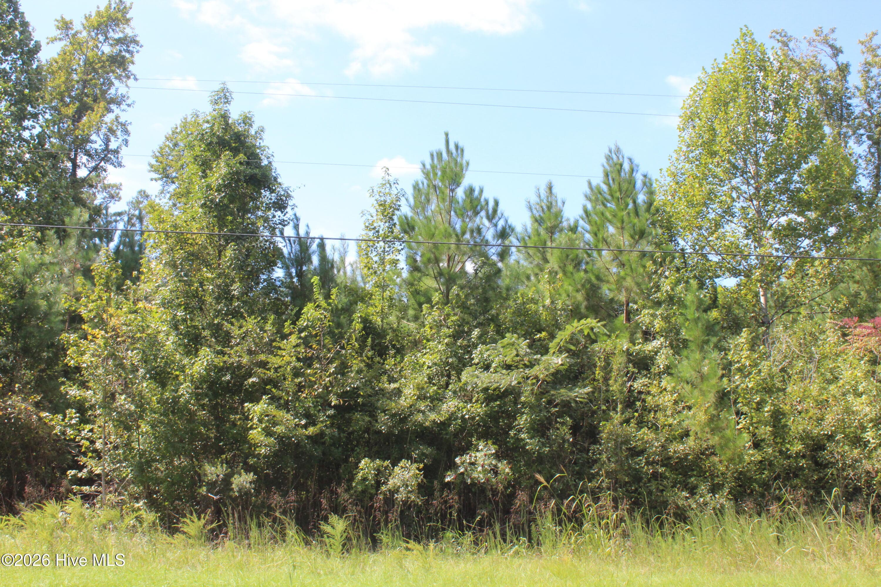 Wooded at 321 Pine Cliff Road, Havelock, NC 28532, photo 2 of 2