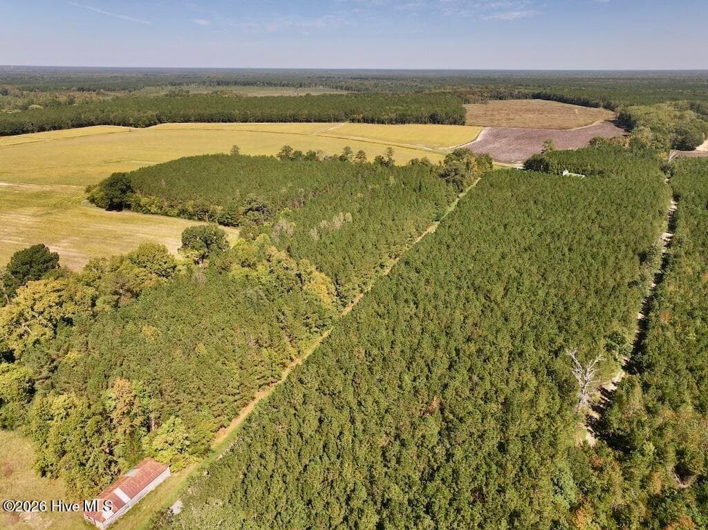 Mixed Use at 0 Spring Hill Road, Scotland Neck, NC 27874, photo 68 of 93