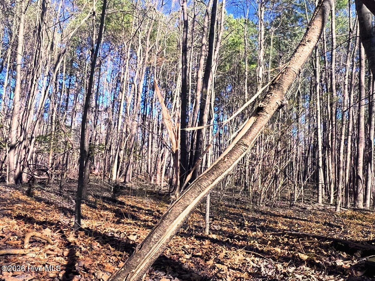 Residential Land at 0 Nc 98 Highway, Spring Hope, NC 27882, photo 26 of 39
