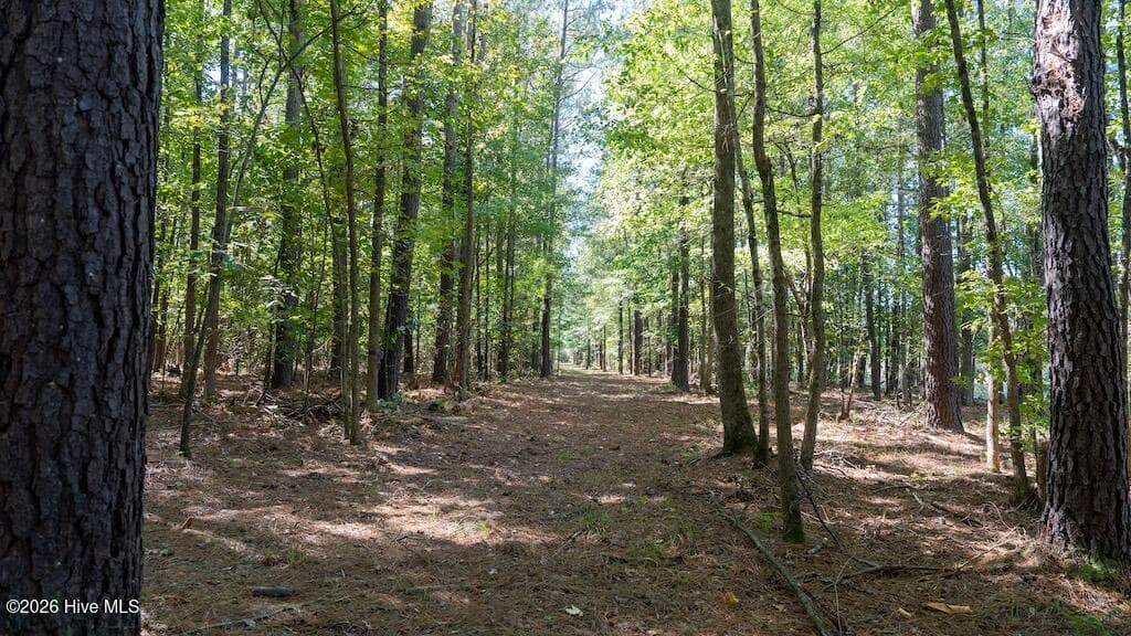 Mixed Use at 0 Spring Hill Road, Scotland Neck, NC 27874, photo 61 of 93