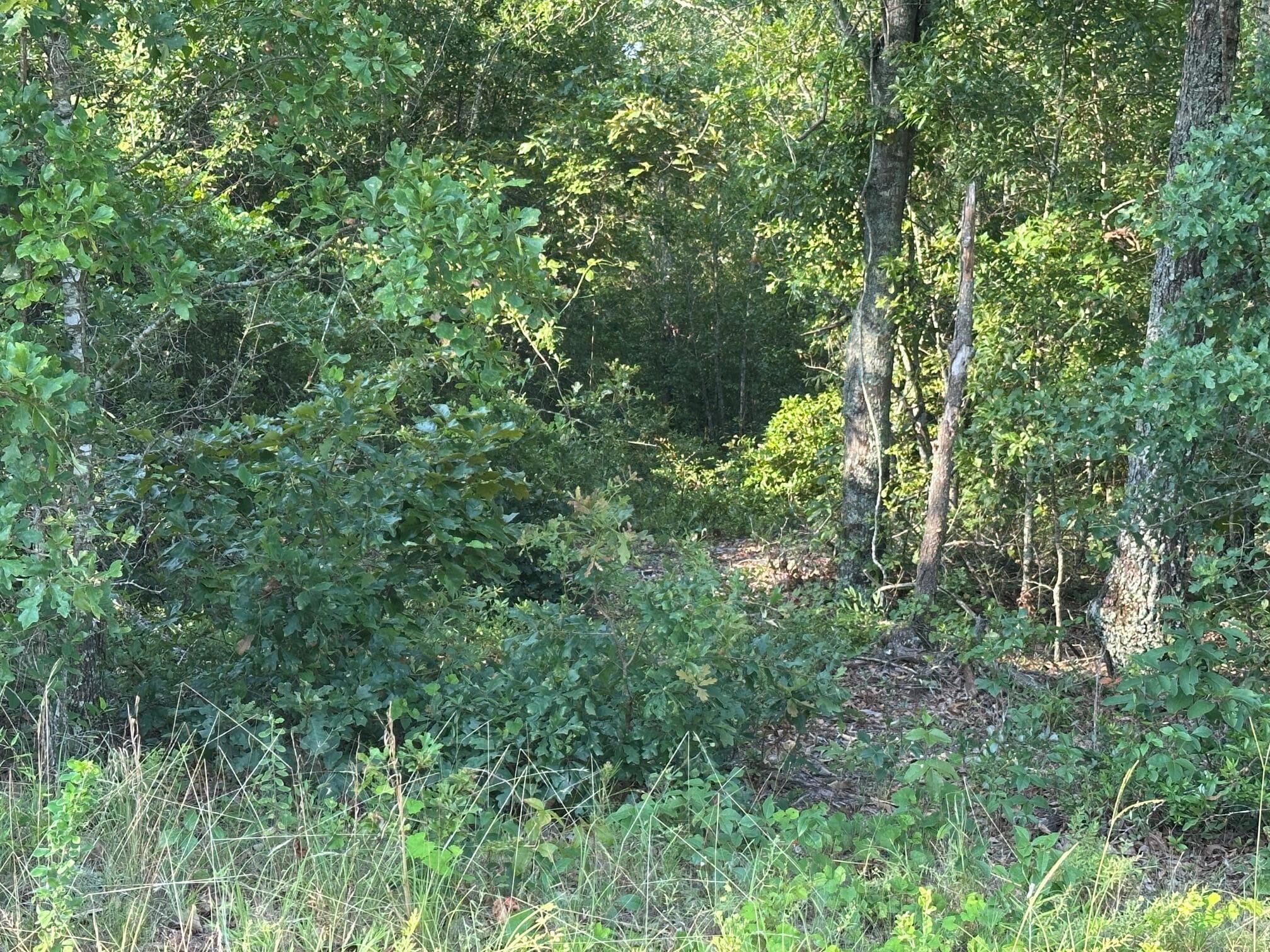 2576 Jessie James Pond Road, Wrens, GA 30833