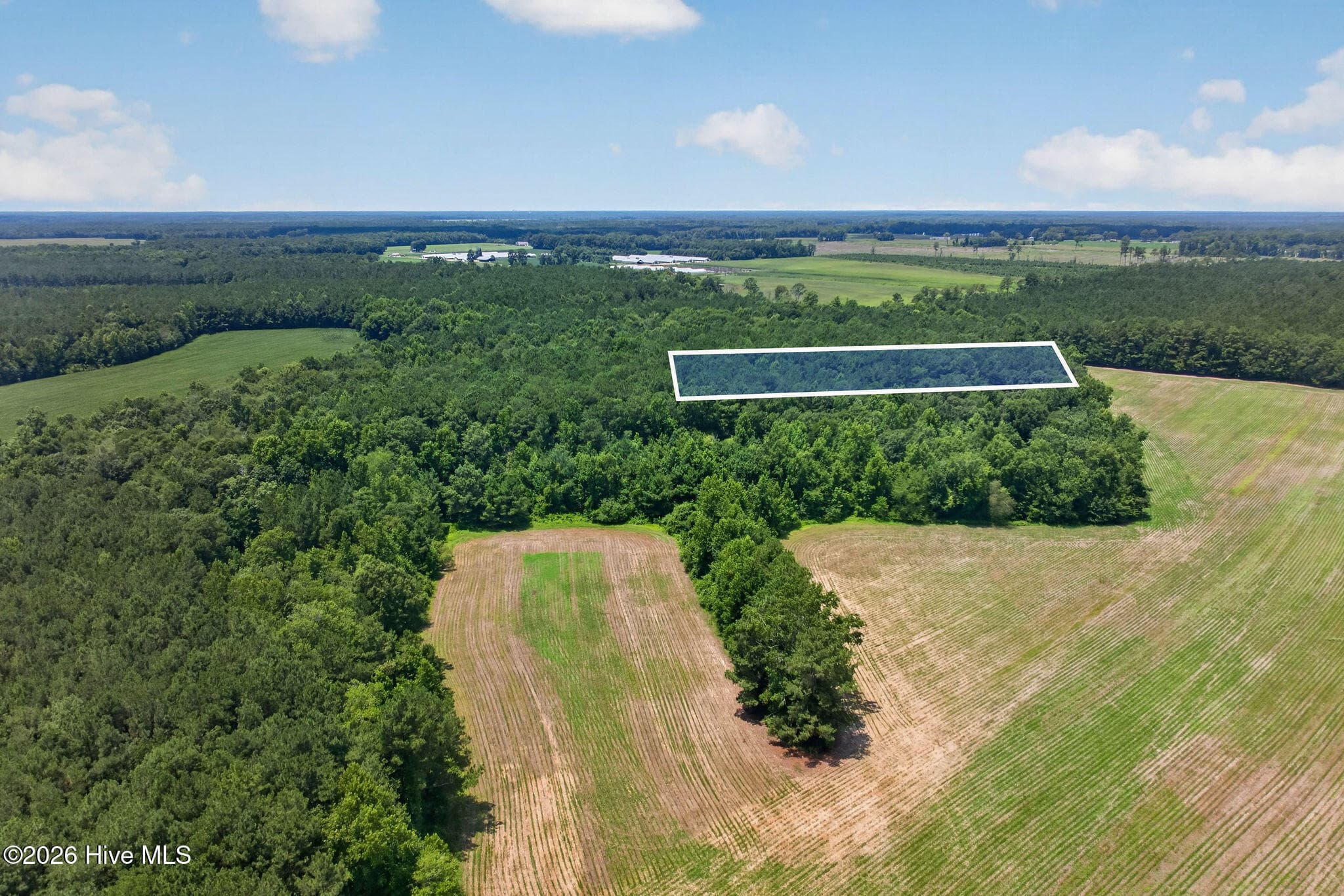 Wooded at 1 Acre Off 2 Laura Hill Drive, Clarkton, NC 28433, photo 4 of 10