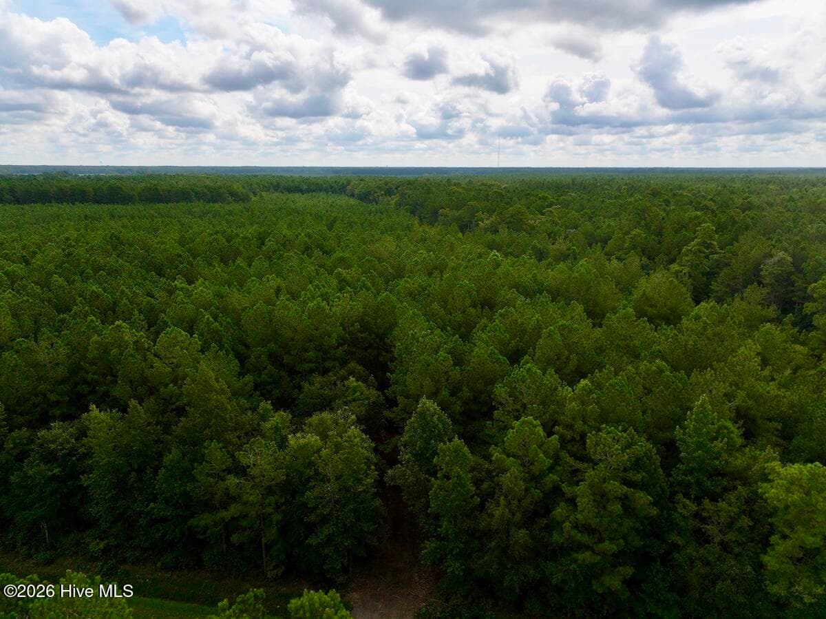 0 5 Cupelo Road, Walstonburg, NC 27888