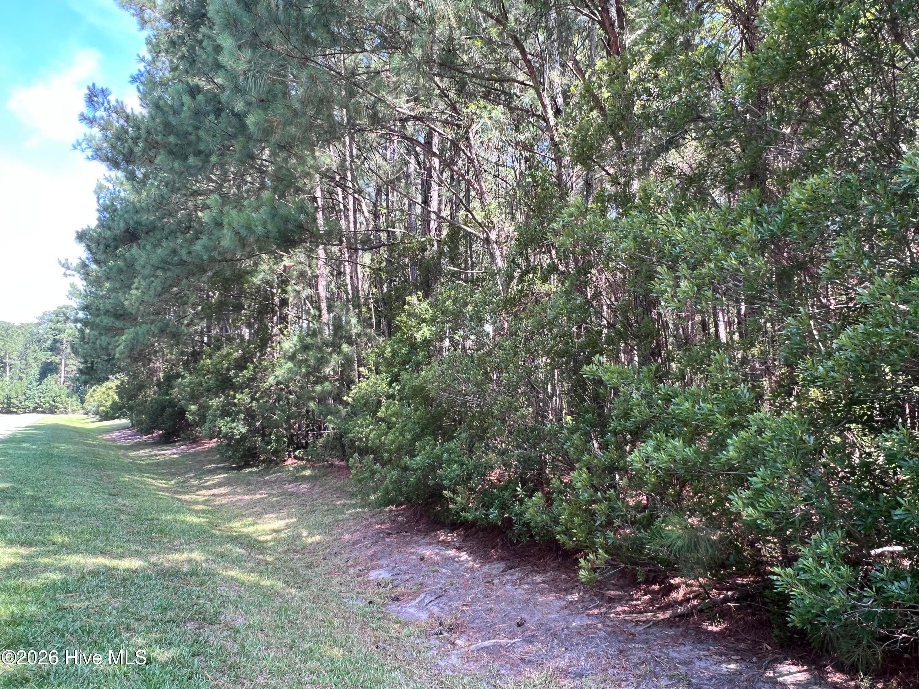 Residential Lot at 42 Windy Point, Belhaven, NC 27810, photo 4 of 6