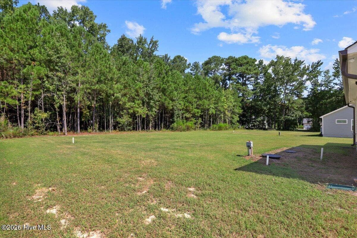 Yard With Privacy Trees - 109 Windemere Lane, Goldsboro, NC 27530