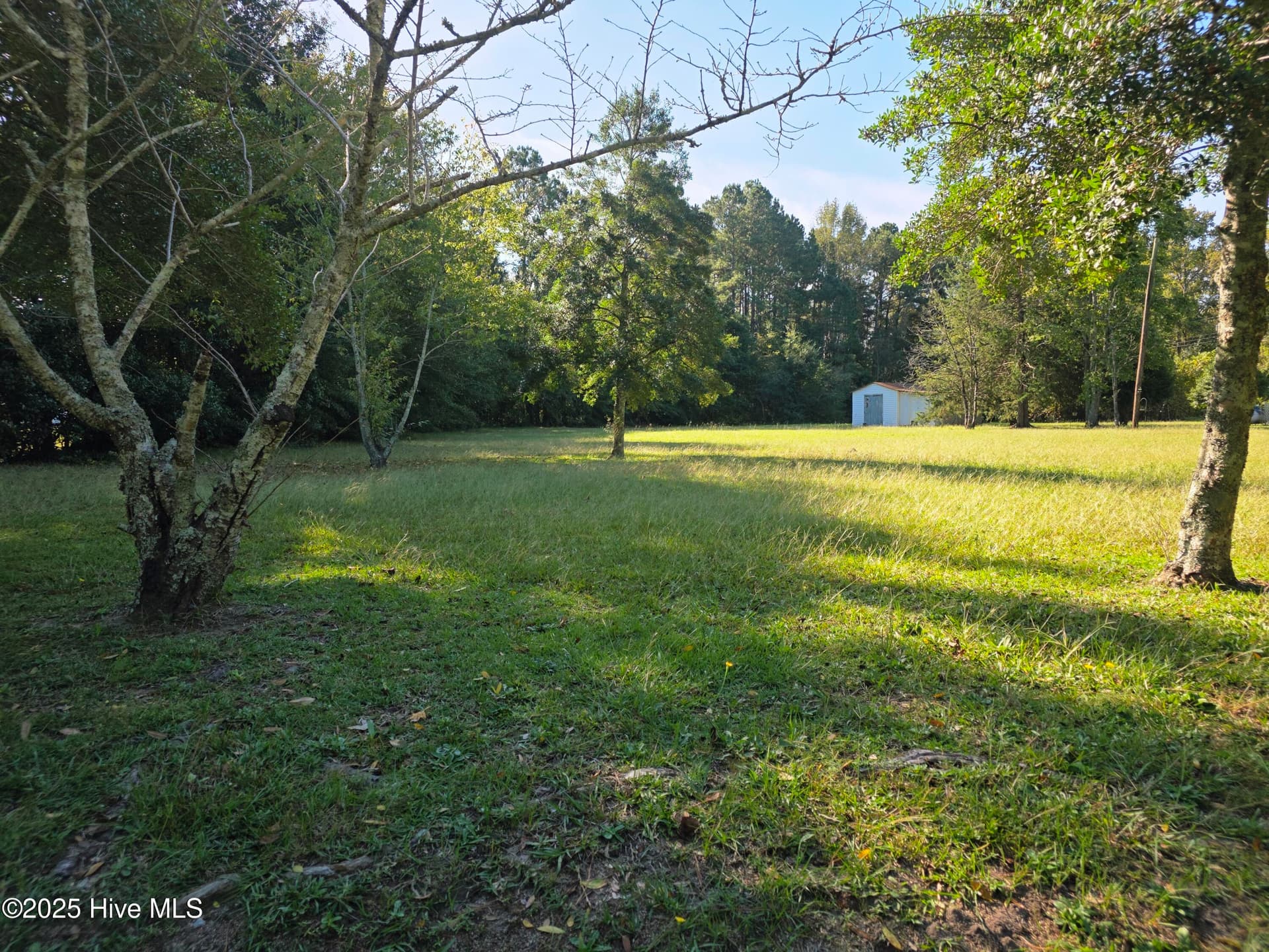 Residential Lot at 205 Bruce Street, Fair Bluff, NC 28439, photo 3 of 5