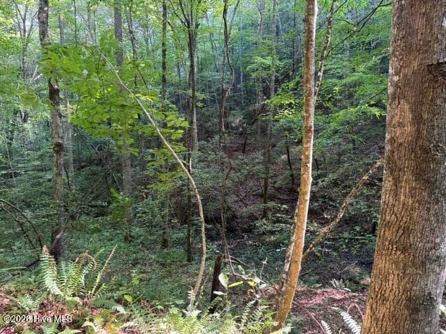 Residential Lot at 5 Tyler Lane, Marble, NC 28905, photo 2 of 28
