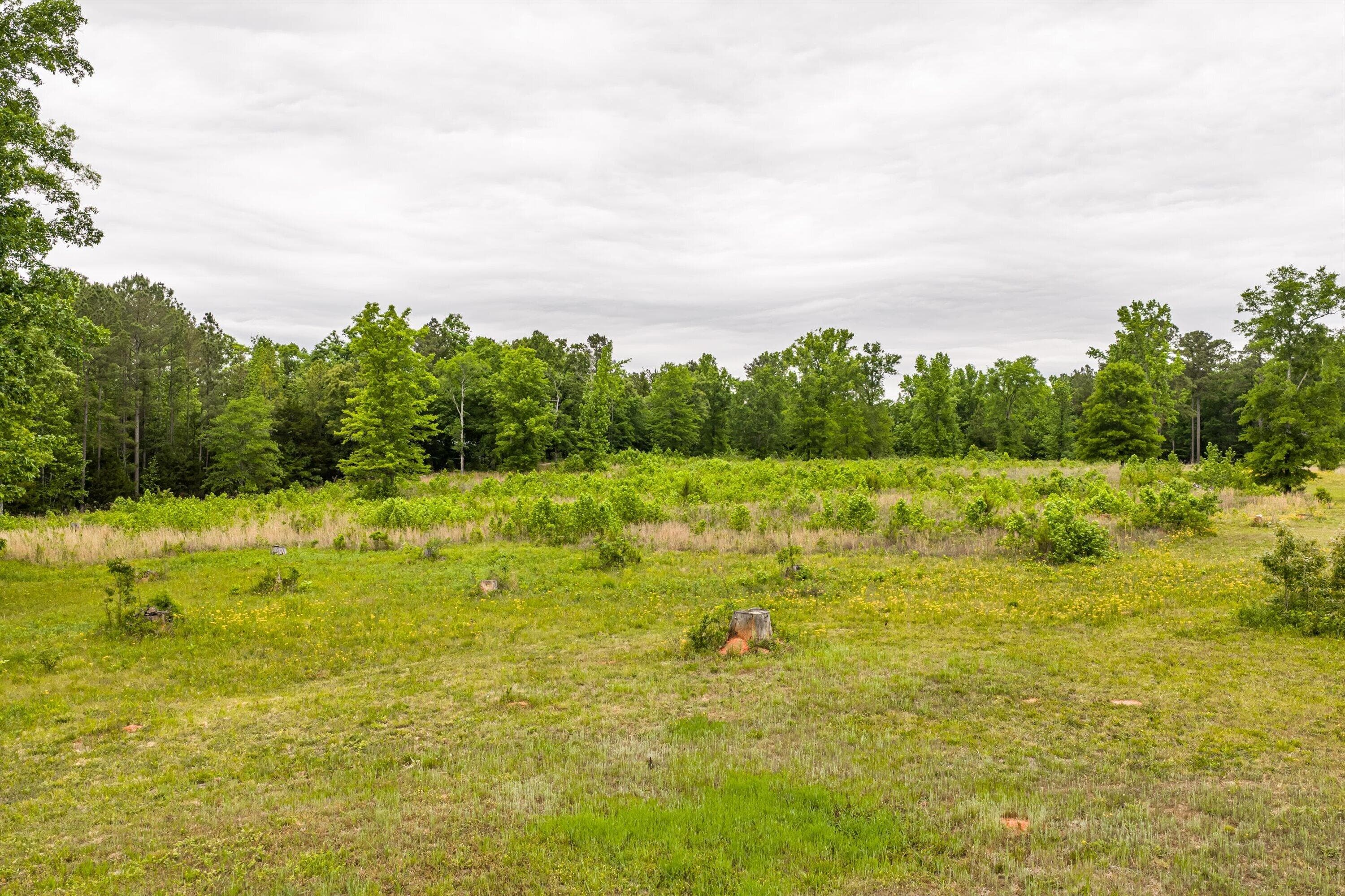 Mixed Use at 3776 Mt Zion Church Road, Lincolnton, GA 30817, photo 3 of 39