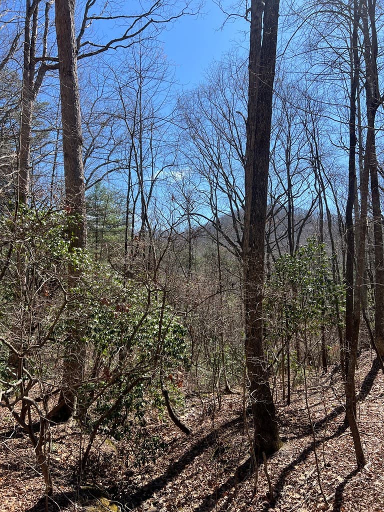 Residential Lot at Lots High View Rd Wolf Mountain Estates, Murphy, NC 28906, photo 14 of 18