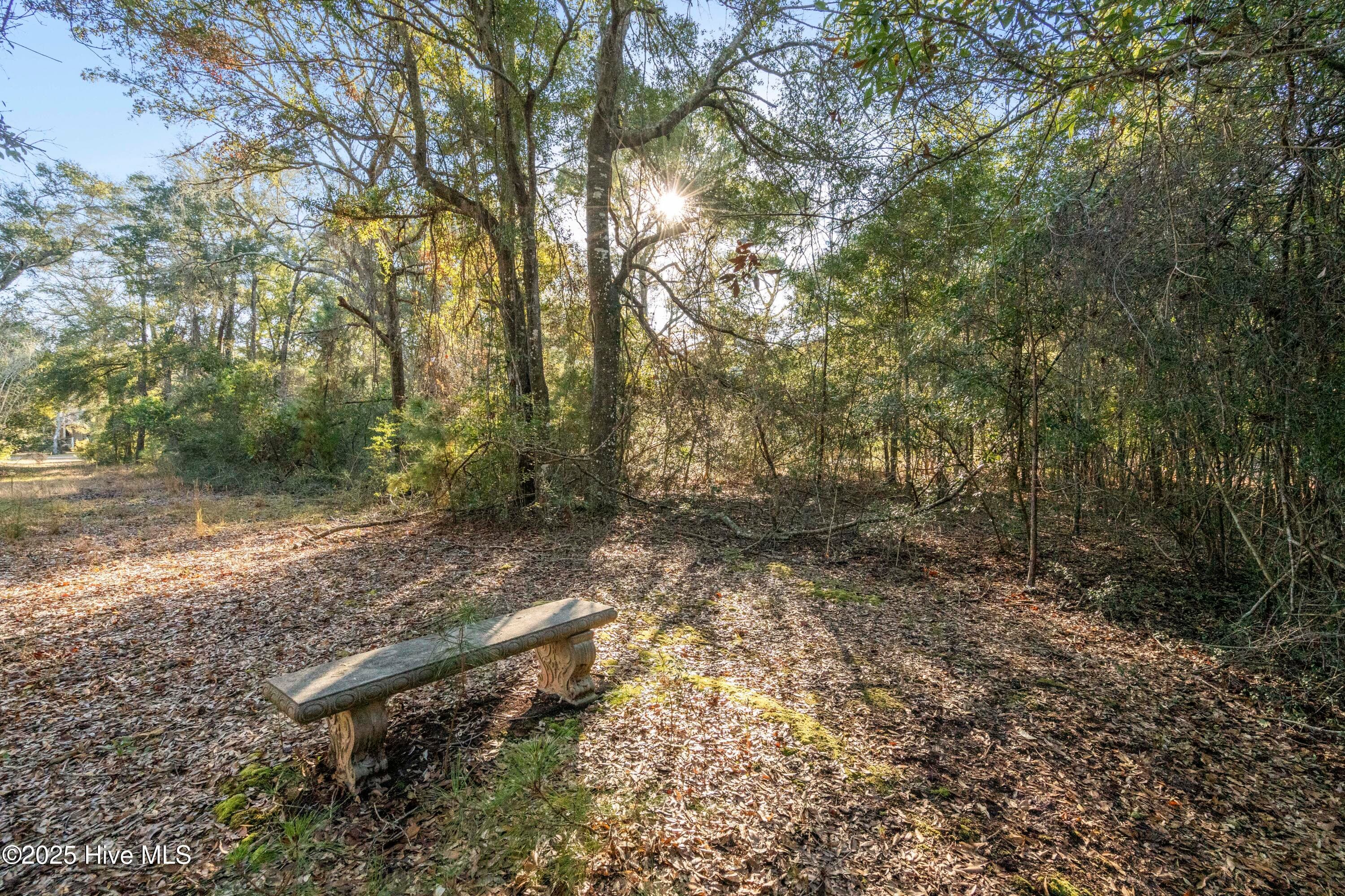 Residential Lot at 1984 293R Redfish Run SW, Supply, NC 28462, photo 12 of 34