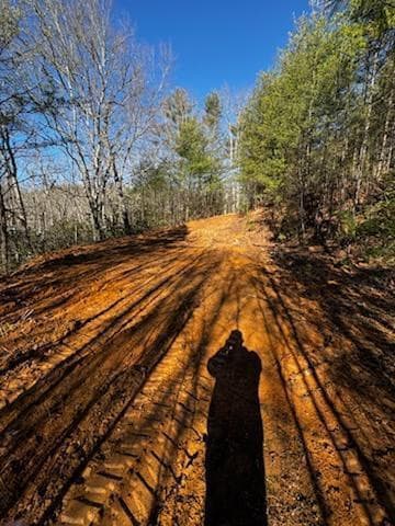 Land at Lot 16 Paradise, Marble, NC 28905, photo 2 of 8