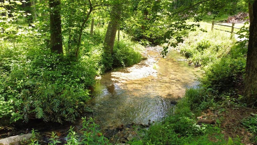 Land at Tract 1 Timber Ridge Road, Blairsville, GA 30512, photo 3 of 19