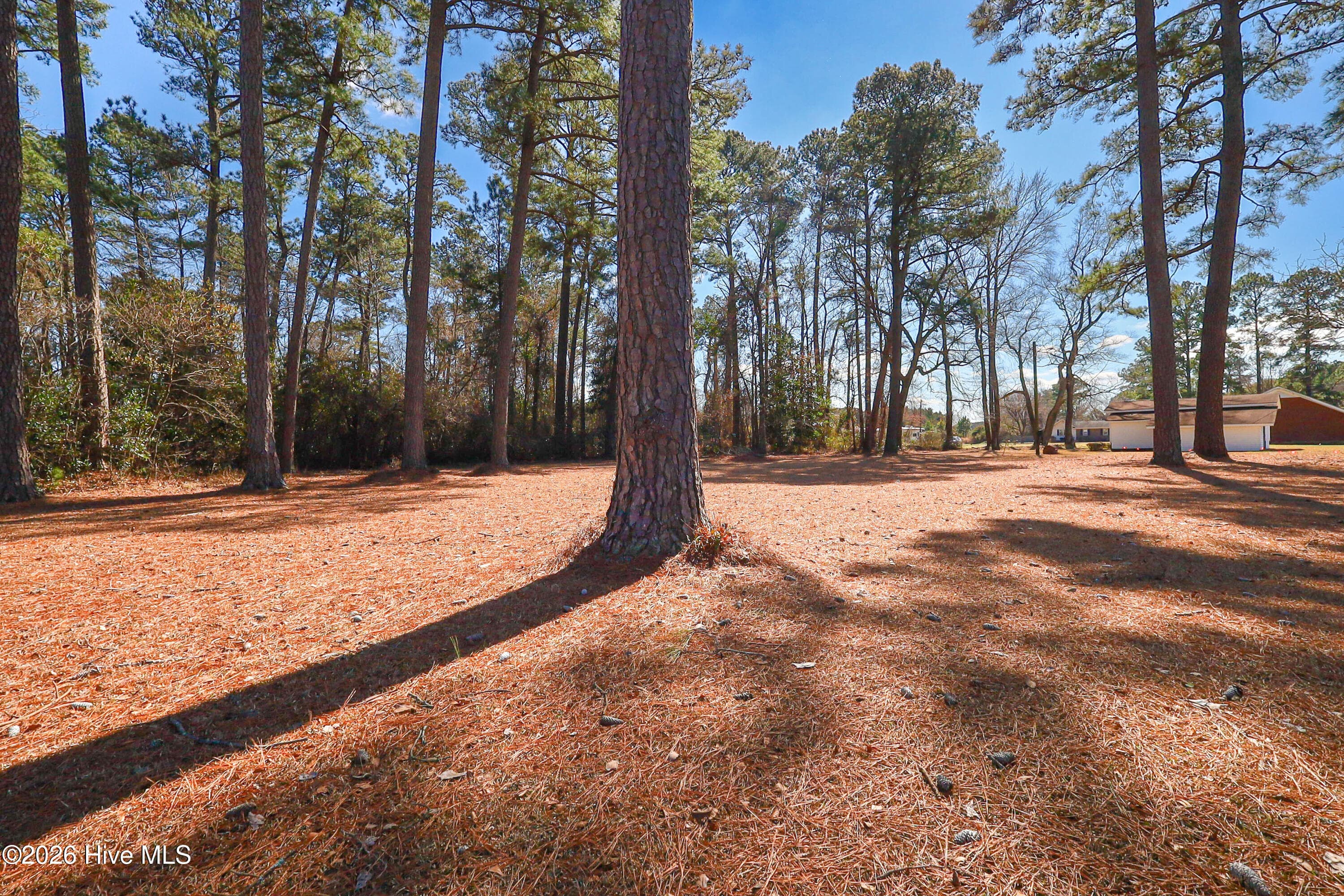 Huge lot - 580 Koonce Fork Road, Richlands, NC 28574