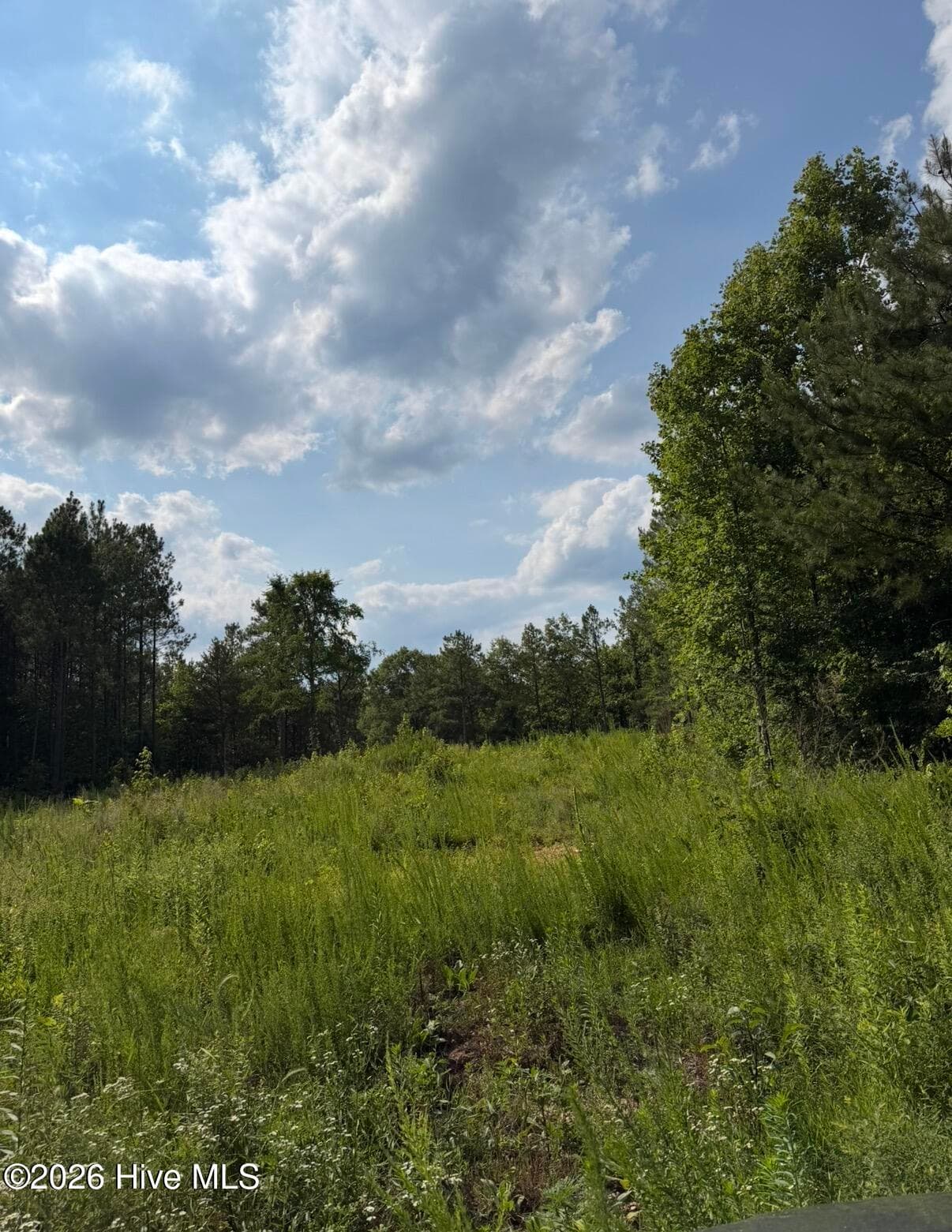 Recreation at 3 Beamon Hunt Road, Warrenton, NC 27589, photo 5 of 10