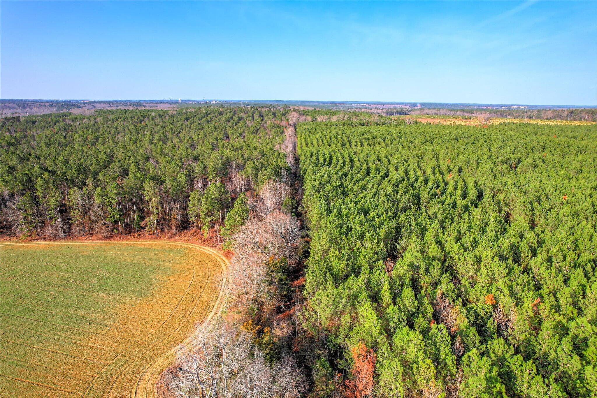 Mixed Use at 0 Old Thomson Road, Wrens, GA 30833, photo 12 of 17