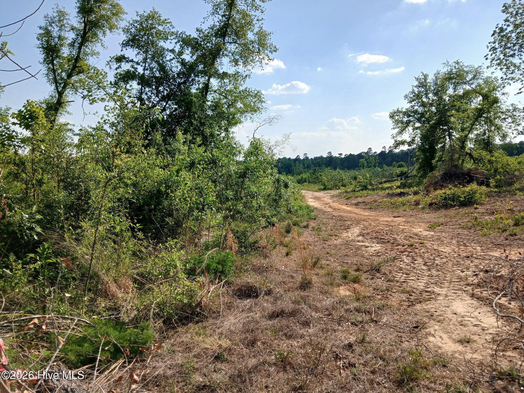 Residential Lot at 1570 Hephzibah - Mcbean Road, Hephzibah, GA 30815, photo 2 of 2