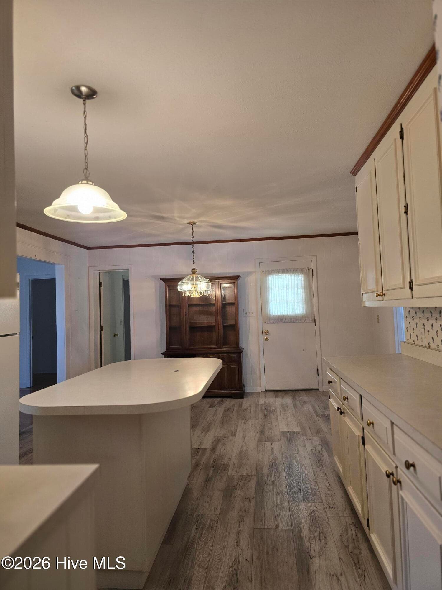 Single Family Residence at 214 E Bladen Street, Bladenboro, NC 28320, photo 20 of 67