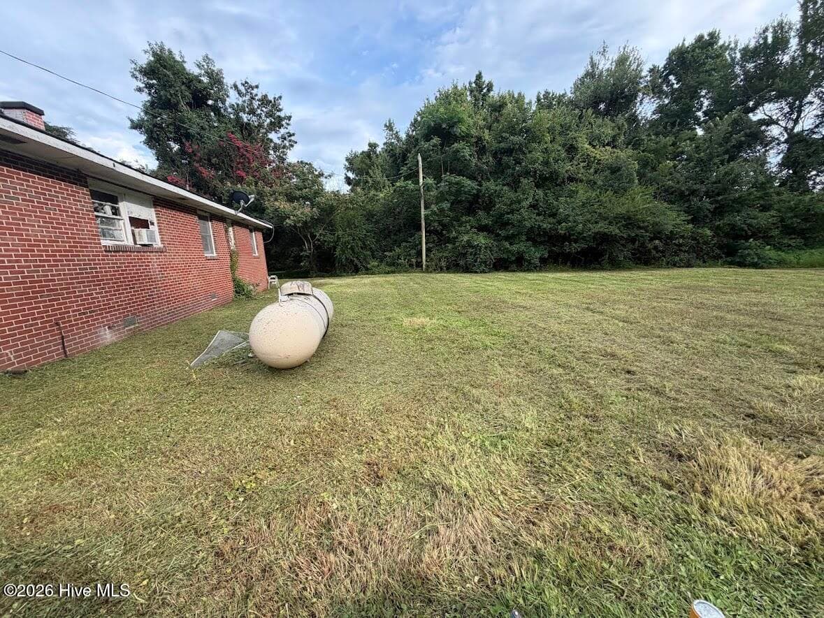 Back Yard - 1303 Nc Highway 343 N, South Mills, NC 27976