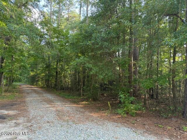 0 4 E Wilmington Street, Burgaw, NC 28425