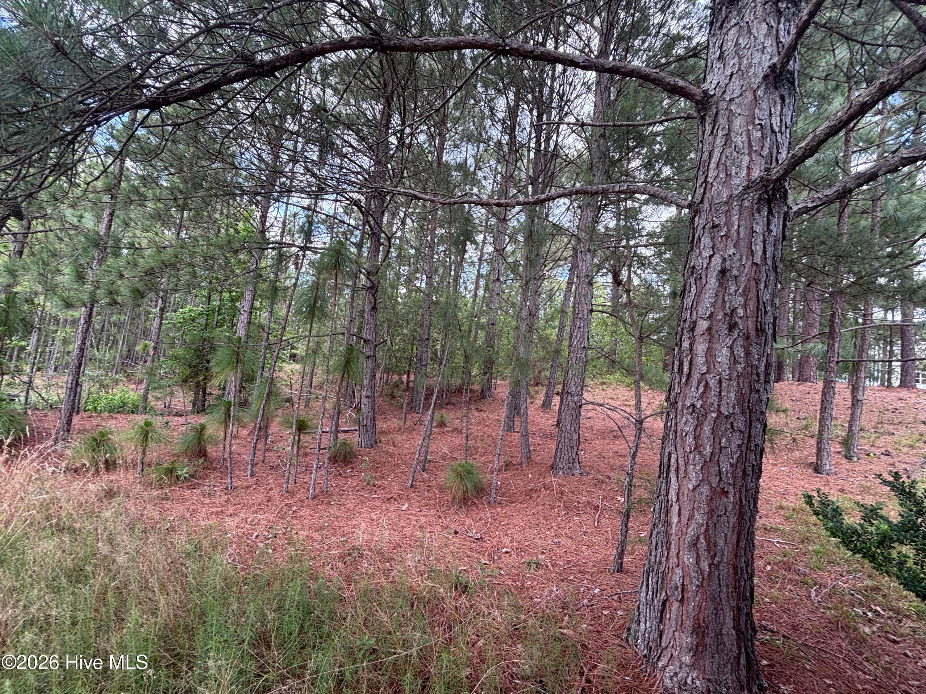 Residential Lot at 111 Callis Circle, West End, NC 27376, photo 16 of 18