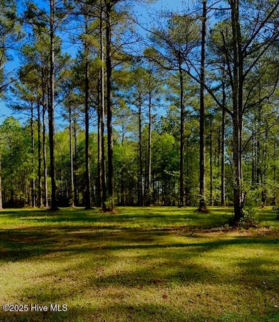 Residential Lot at 212 87 Dawson Creek Boulevard, Arapahoe, NC 28510, photo 2 of 6