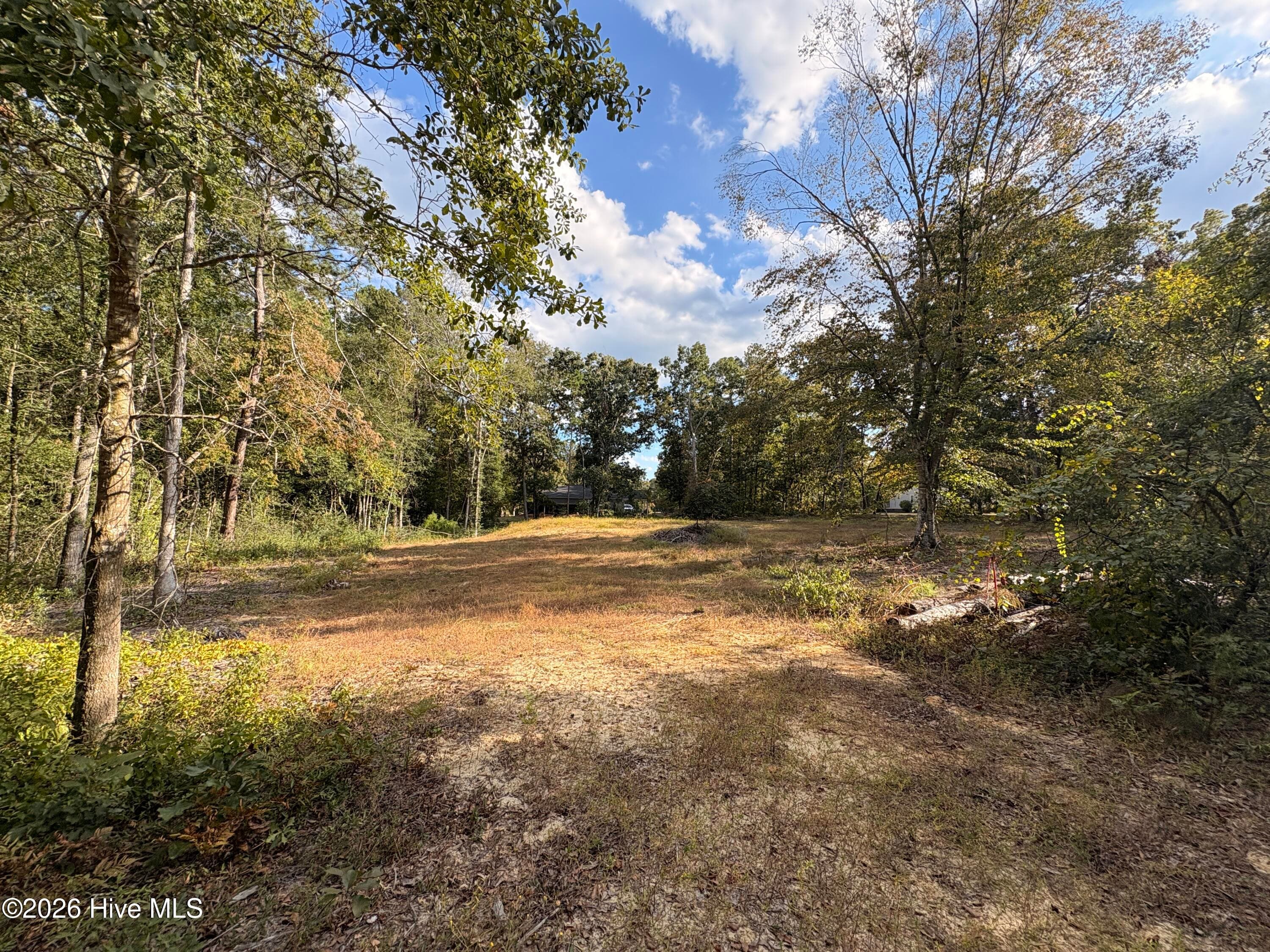 Residential Lot at 209 Oak Drive, Elizabethtown, NC 28337, photo 4 of 10