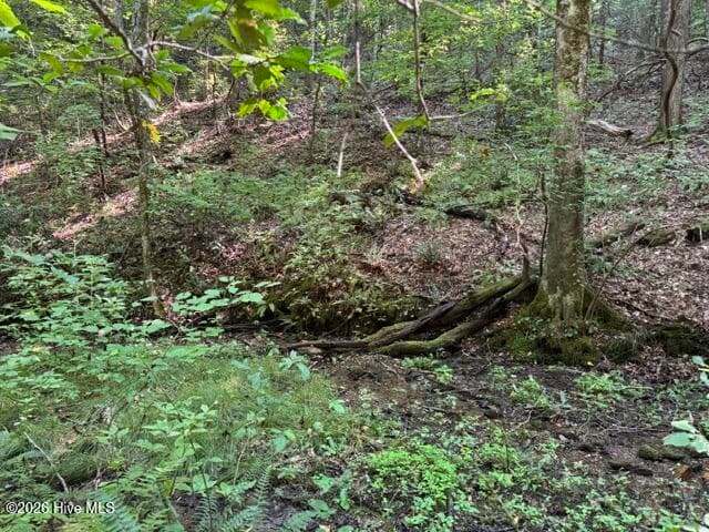 Residential Lot at 5 Tyler Lane, Marble, NC 28905, photo 23 of 28